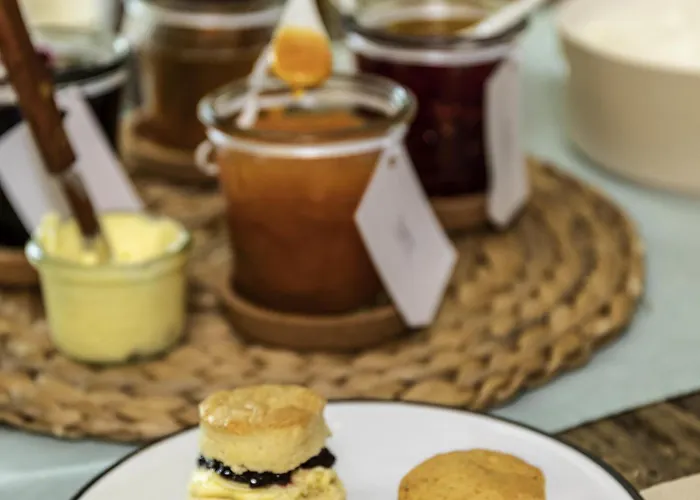 酒店 多特蒙得城美居酒店 3*